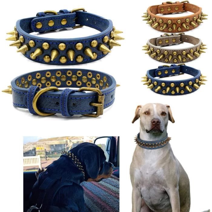 Collier Pour Chien Personnalisable En Néoprène Doux - Nom Et Téléphone Brodés - Tailles XS à XL - Sécurité Renforcée