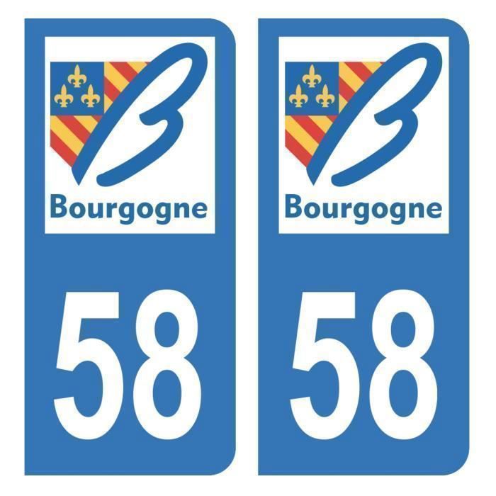 Autocollants Plaque Immatriculation Département 53 Mayenne - Lot De 2 Stickers Avec Logo Région Pays De La Loire