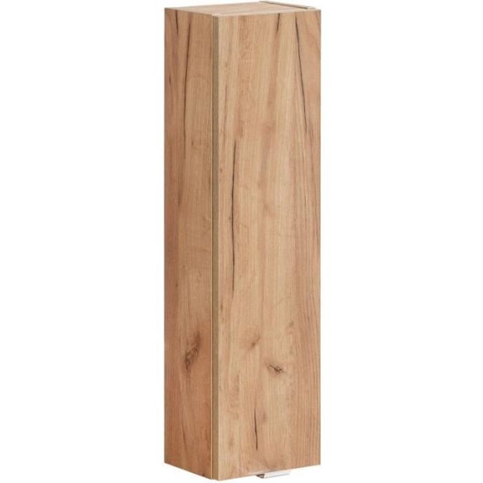 Colonne de Salle de Bain - CAPRI - CAPRI OAK 830A - Chêne Craft Doré - 1 Porte - Montage DIY