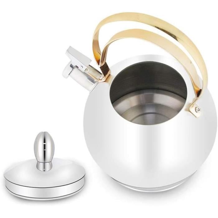 Bouilloire Théière en Acier Inoxydable avec Filtre Grande Capacité (1L) pour Maison hôtel, café