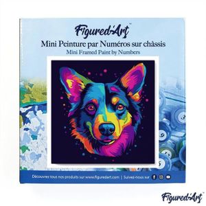 Peinture Par Numéros Chien Shih Tzu - 40x50cm - Kit Débutant Adulte