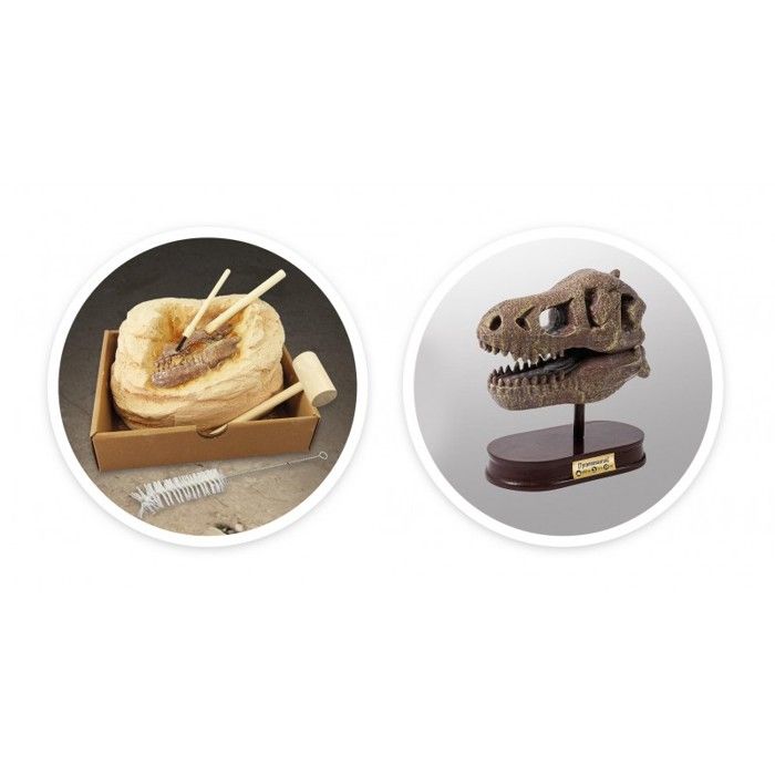 Dino Dig T-Rex – Coffret Fouille Paléontologie : Squelette à Assemble 20 Cm + Dent De Mosasaure Authentique – Dès 8 Ans