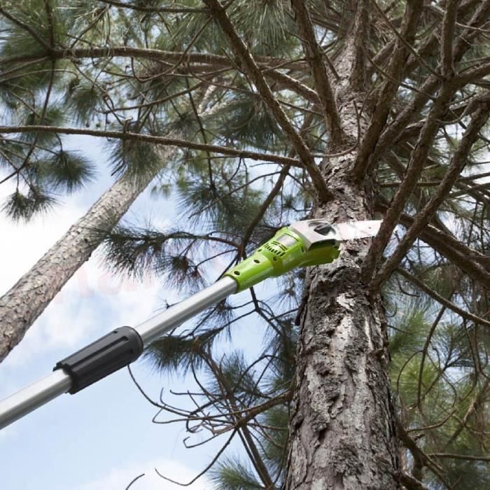Élagueuse Sur Perche Greenworks G40PSF 40V - Barre 20cm, Portée 2.58m, Sans Batterie