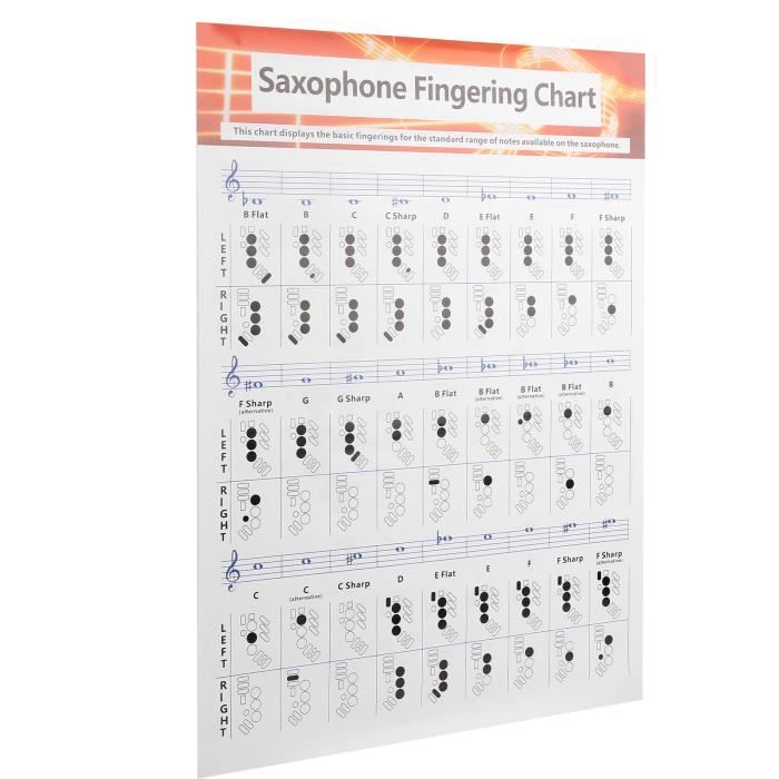 Flûte à Bec Soprano Czzmy - 8 Trous Doigté Baroque Pour Débutants