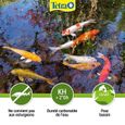 TETRA Anti algue pour bassin de jardin - Tetra Pond Algorem - 250 ml-3