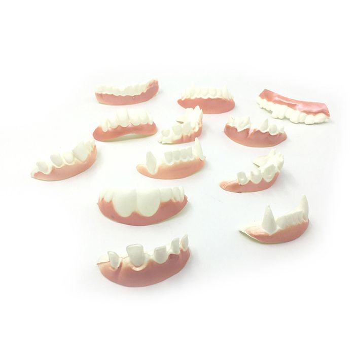 Dents Fausses Cassées Halloween Modèle A - Accessoire Déguisement Monstre, Carnaval, Cadeau Original Adulte Et Enfant, Effet Carié Réaliste - 11