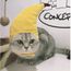 Ar4574 Chapeau Pour Animaux De Compagnie Jaune Courte En Peluche Drole Banane Forme Chien Chat Reglable Cosplay Couvre Chef Chiot Ch Achat Vente Piece Pour Fait Maison Cdiscount