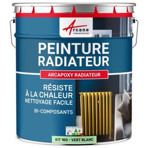 PEINTURE - VERNIS Peinture Radiateur - Fonte acier alu chauffage  Ral 6019 Vert Blanc - Kit 1 Kg jusqu'a 5m² pour 2 couches
