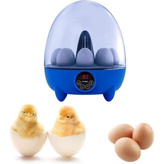 INCUBATEUR D'ŒUFS, ŒUFS à couver, petite couveuse d'œufs pour poulets