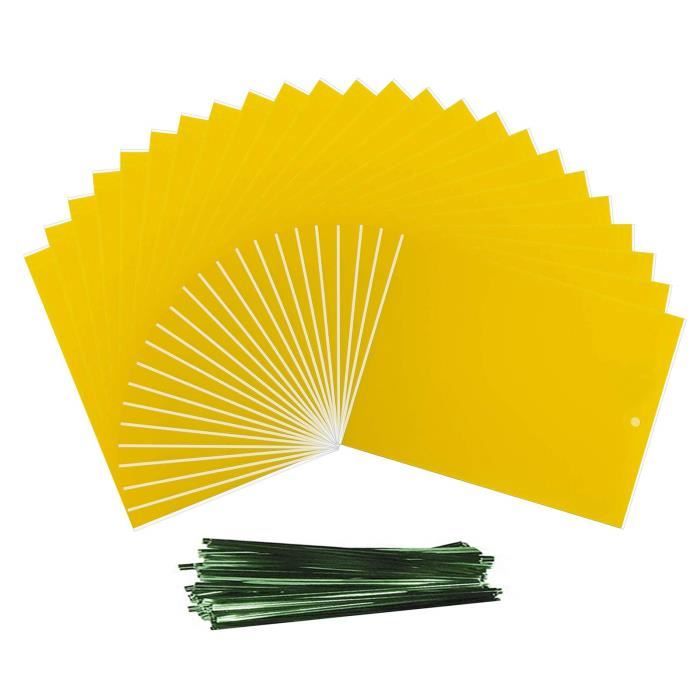 FINE-50 Pièces Pièges à Insecte Collants Double Face Anti Blanc Feuille De Mouches Mineur Mites