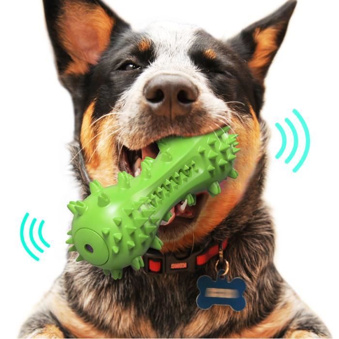 Jouet à Mâcher pour Chien, Résistant à la Morsure Bâton de Nettoyage des Dents en Caoutchouc pour Petits et Moyens Chiens - Vert