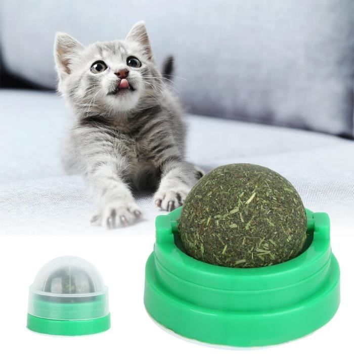 Jouet boule d'herbe comestible pour chat - Chatounette