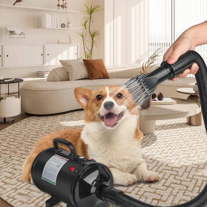 Comparer les prix de KEDIA. Séchoir Sèche-Poils Toilettage pour Chiens Chats Animaux, Chaleur et Vitesse (Noir) 33*17*80-250cm