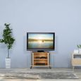 Meuble TV sur rouettes et compartiments - 10025960-695-2