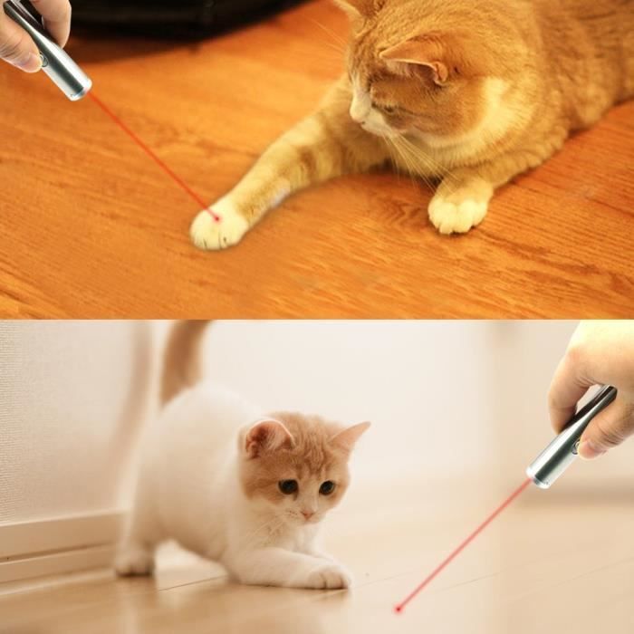 Jouet laser pour votre Chat - LA BOUTIKACHAT !/Jeux & jouets - Les 3 chats
