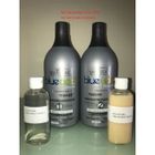 SALVATORE COSMÉTICA PROFISSIONAL SALVATORE BLUE GOLD PREMIUM Kit 2 X 100NL Shampooing et Keratine