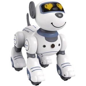 ROBOT - ANIMAL ANIMÉ Jouet De Chien Robot Télécommandé Pour Enfants, Ro