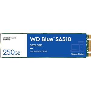 DISQUE DUR SSD Wd Blue Sa510 250 Go M.2 Sata Ssd Avec Une Vitesse