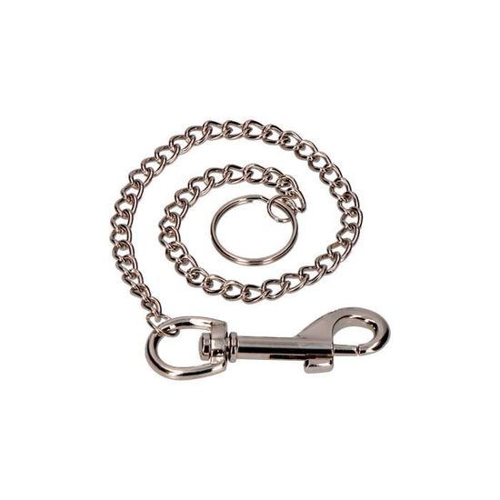 Lanière Porte-Clés Pansexuelle Everflag – Ruban Tissé Arc-en-Ciel Avec Mousqueton (11 Cm)