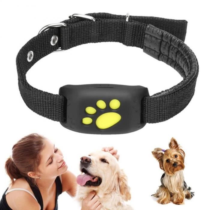 Collier de suivi GPS pour chien et chat Fonction de rappel GPS étanche Tracker GPS