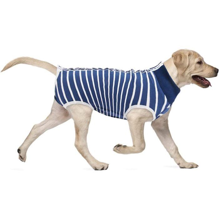 Portez un gilet anti-léchage après lopérationdes vêtements de convalescence post-opératoires des vêtements pour chiens