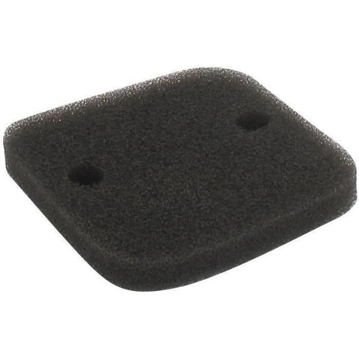 Filtre à air ECHO 130310-52830