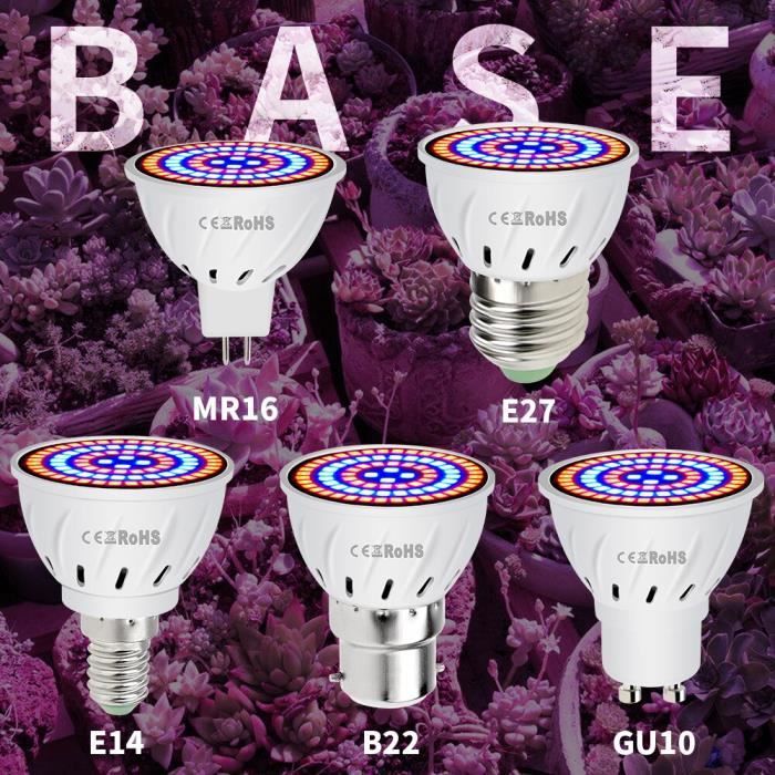 Ampoule horticole de croissance E14, E27 LED, LED V, MR16 LED, lampe à  spectre complet GU10 2 Years Warranty 48leds 220V -GZ9161 - Cdiscount Maison