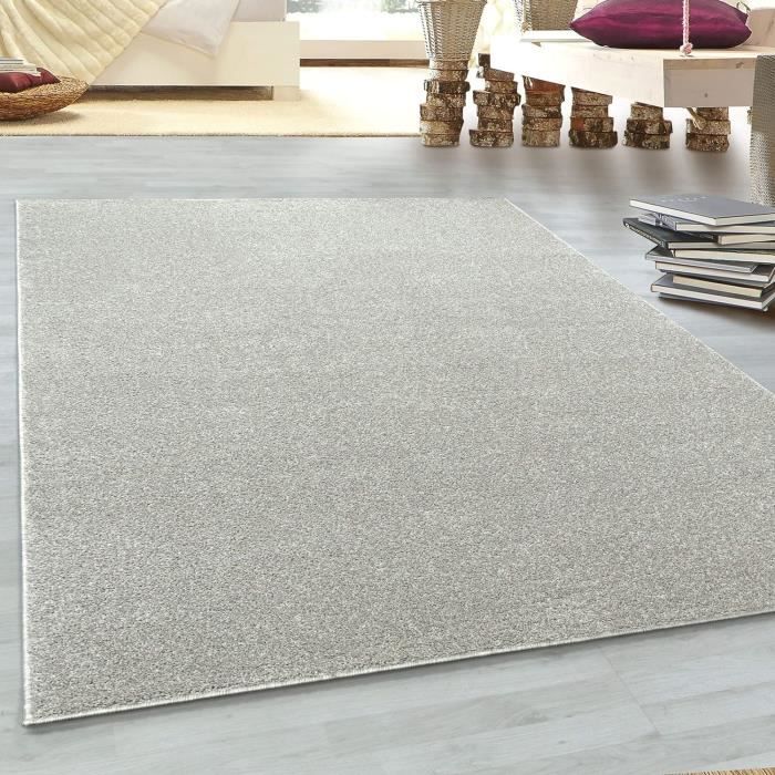 Tapis Cuisine HomebyHome Tapis Salon 200x300 Moderne Tapis Chambre Tapis Marron 200x290 Cm - Tapis Poil Court Salle De Su00e9jour Unicolore Concevoir Doux Et Moelleux - Enfant Moquette U00e0 Poils Ras Tapis