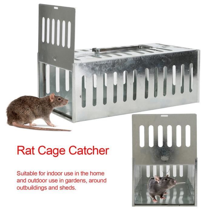 Piège à rats Souris Porte simple Réutilisable Rongeur Cage