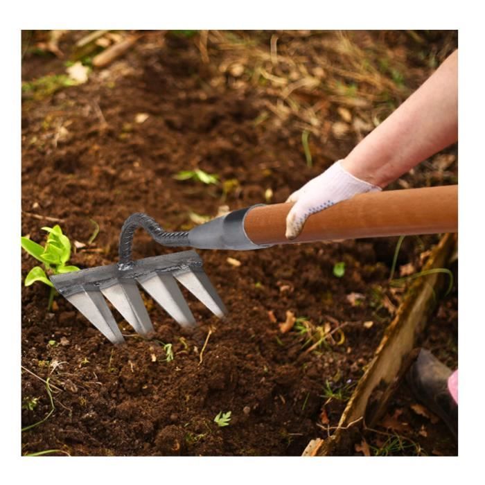 Râteau De Désherbage Acier Carbone Robuste – 5 à 8 Dents, Outil Jardinage Déchaumage Mauvaises Herbes
