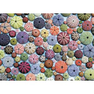 PUZZLE Piatnik Sea Urchins Jigsaw Puzzle (1000 Pieces)