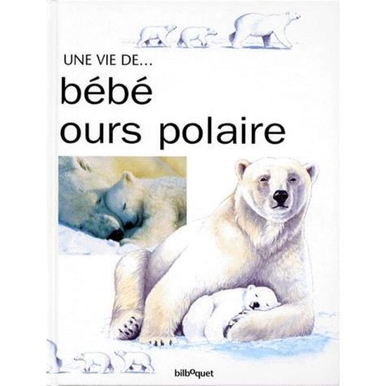 Bebe Ours Polaire Cdiscount Librairie Bebe Ours Polaire Cdiscount Librairie