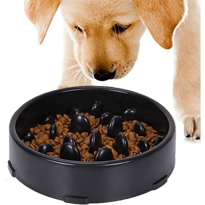 Gamelle dalimentation Lente pour Chiens Gamelle pour Alimentation Lente Gamelle Anti Glouton pour Chien Chat Favorise Une