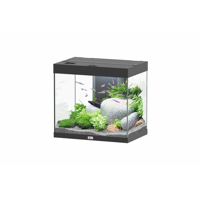 Aquarium poisson Splendid 60 LED 2.0 et BioBox - Aquatlantis Noir