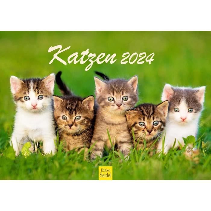 Calendrier Mural 2026 Drôle Avec Chats – Planificateur Mensuel Artistique Pour Famille, 28x21,5 Cm