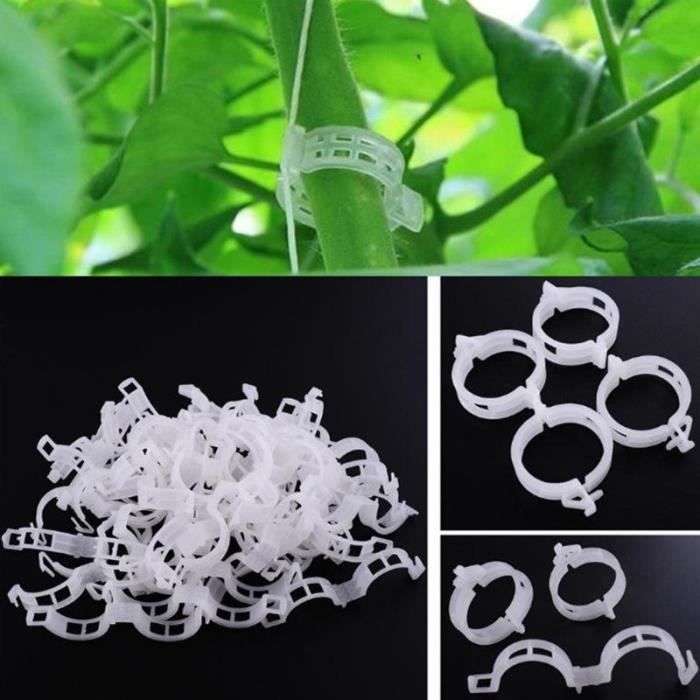 Clips en plastique pour plantes, 50 pièces-lot, Support pour suspension de tomate, connecte les plantes de serre, [4BBB67F]