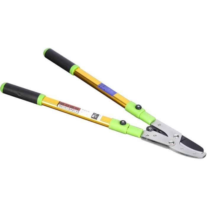JiveSnip Sécateur Télescopique à Engrenages – Coupe-Branches Robuste Lames SK5 Téflon, Poignées Aluminium