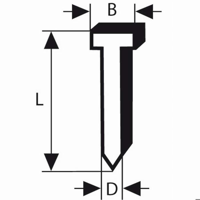 Lot de 5000 pointes têtes fraisées galvanisées 18g =25mm BOSCH 2608200513 - vue 2