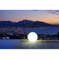 LUMISKY - Boule lumineuse filaire pour extérieur LED - blanc BOBBY - ∅60cm culot E27-1