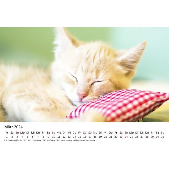 2026 Horaire De Chat Drôle Mignon - Calendrier Des Chats Artistiques