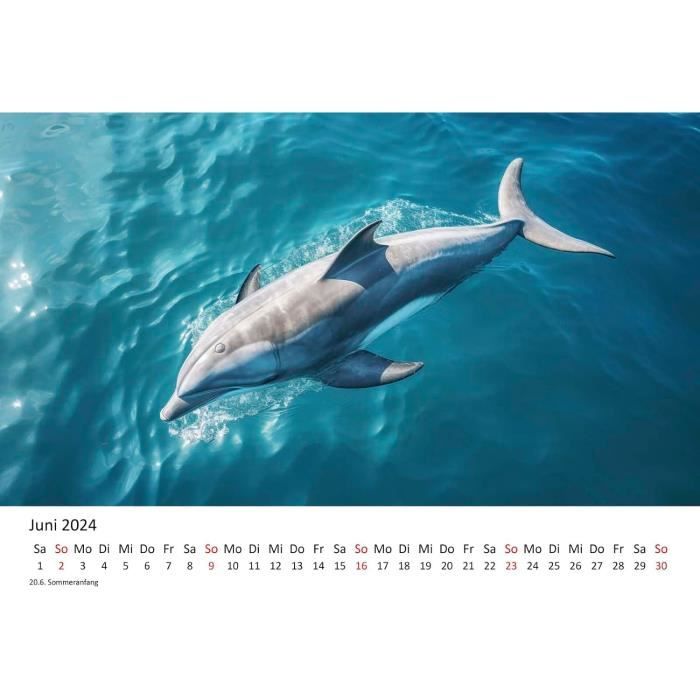 Calendrier Premium Dauphins Bleus 2024 Format Din A3 Calendrier Mural