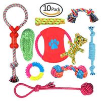 Lot de 10 de jouets pour chien, durables mâcher corde jouet solitude petits et moyens chiens santé