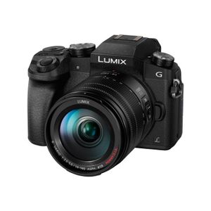 de usuario Panasonic Lumix DMC-GF5 (Español - 213 páginas