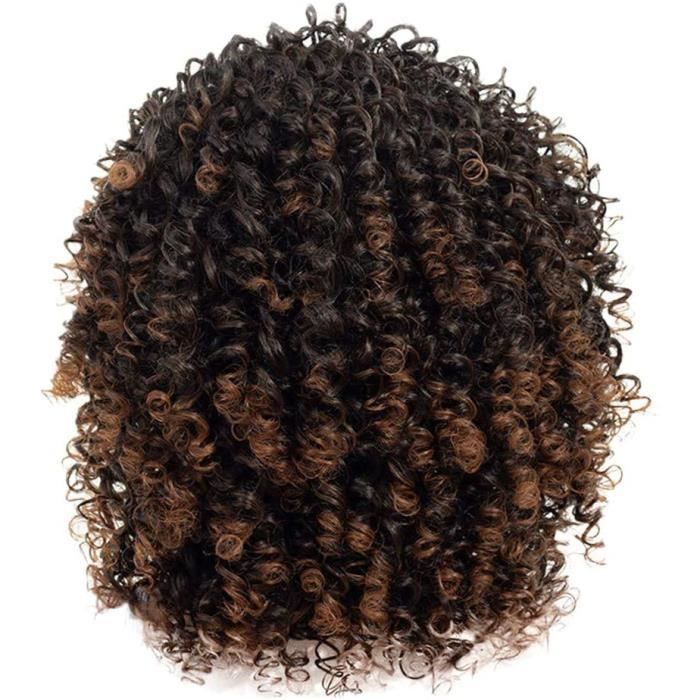 Perruque Femme Naturelle Breacutesilien Courte Lace Frontal Hort Afro Curly Mix Gris Avec Frange Syntheacutetiques Nouvelle Arrive
