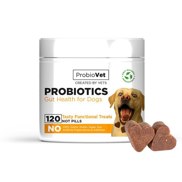Complément Alimentaire pour Chien - ProbioVet - Probiotique - Santé intestinale - 120 Bouchées Naturelles