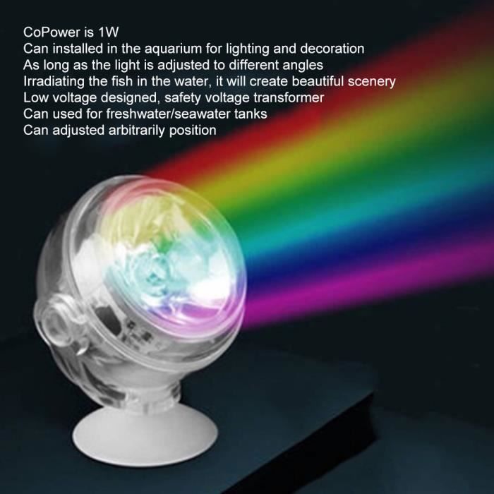 Lampe daquarium - SURENHAP - LED submersible - Bleu - 100-240V