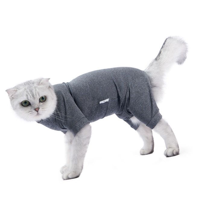 Akozon Costume de récupération de chat Combinaison De Récupération Chirurgicale à 4 Pattes Pour Chat animalerie pull Fleur Gris M