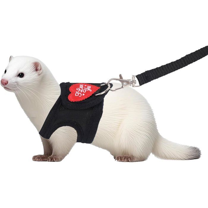 Ensemble Harnais et Laisse pour Furet Laisse Ajustable Imprimé Léopard Harnais Souple pour Petits Animaux Furets Cochons d...