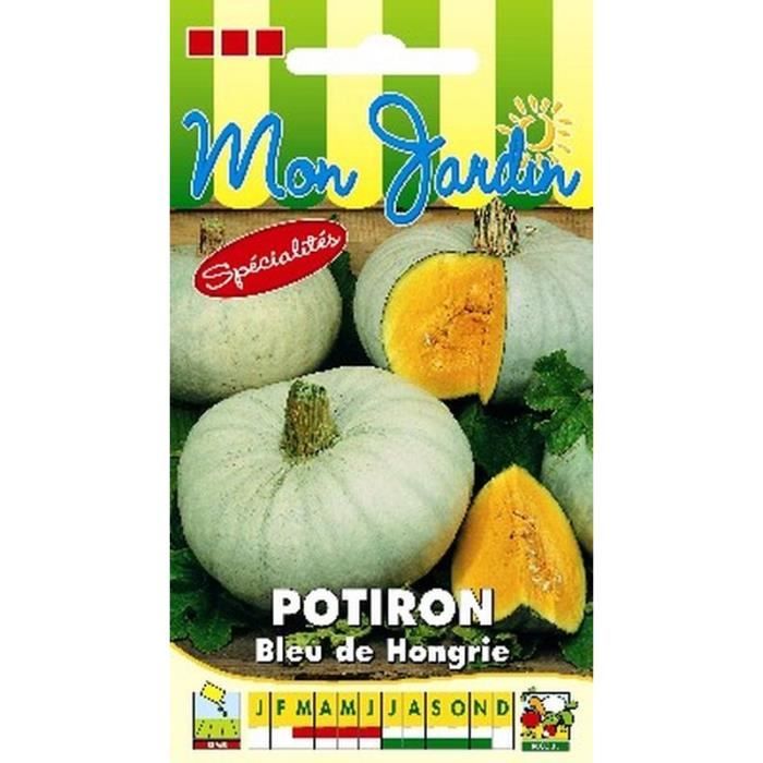 Graines De Potiron Atlantic Giant - Les Graines Bocquet - 5g - Légume Fruit Géant - Non Traitées