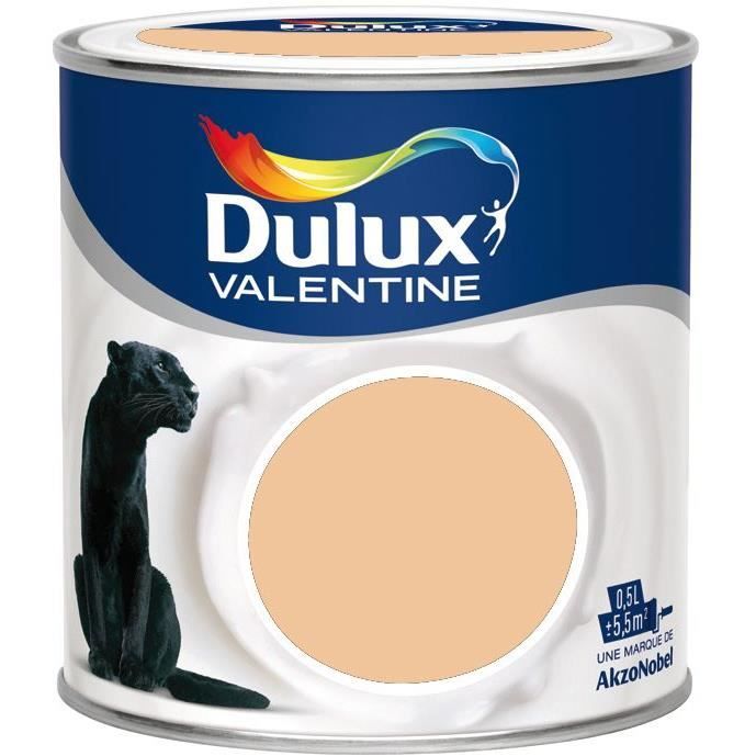 Peinture crème de couleur - 0.5 L - capuccino - Achat / Vente peinture -  vernis Peinture crème de couleur 0.5 à prix déchiré 3031520128841 -  Cdiscount